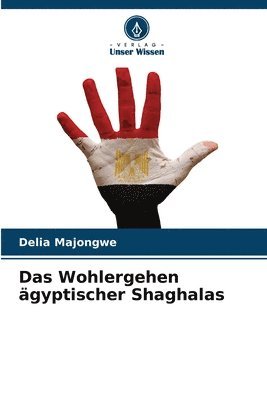 bokomslag Das Wohlergehen ägyptischer Shaghalas