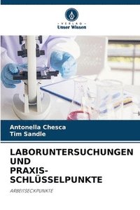 bokomslag Laboruntersuchungen Und Praxis-Schlüsselpunkte