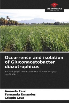 bokomslag Occurrence and isolation of Gluconacetobacter diazotrophicus