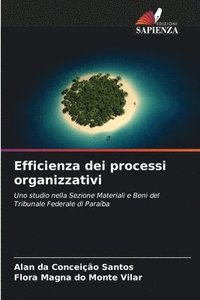 bokomslag Efficienza dei processi organizzativi