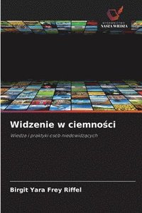 bokomslag Widzenie w ciemno?ci