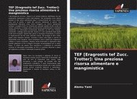 bokomslag TEF [Eragrostis tef Zucc. Trotter]: Una preziosa risorsa alimentare e mangimistica