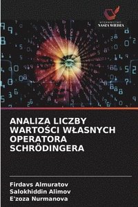 bokomslag Analiza Liczby Warto?ci Wlasnych Operatora Schrödingera