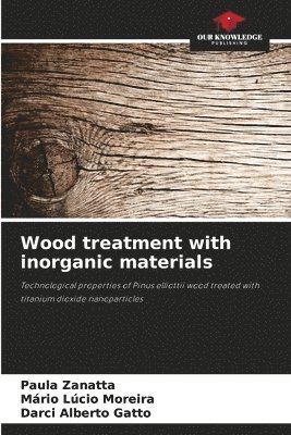 bokomslag Wood treatment with inorganic materials