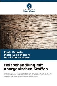bokomslag Holzbehandlung mit anorganischen Stoffen