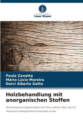 Holzbehandlung mit anorganischen Stoffen
