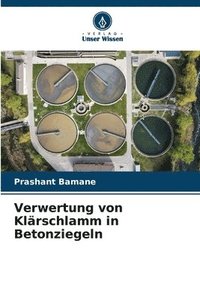 bokomslag Verwertung von Klärschlamm in Betonziegeln