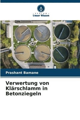 bokomslag Verwertung von Klärschlamm in Betonziegeln