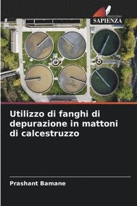bokomslag Utilizzo di fanghi di depurazione in mattoni di calcestruzzo