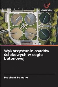 bokomslag Wykorzystanie osadów ?ciekowych w cegle betonowej