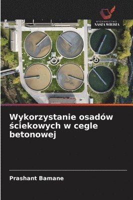 bokomslag Wykorzystanie osadów ?ciekowych w cegle betonowej