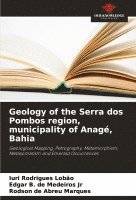 bokomslag Geology of the Serra dos Pombos region, municipality of Anagé, Bahia
