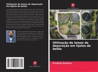 bokomslag Utilização de lamas de depuração em tijolos de betão