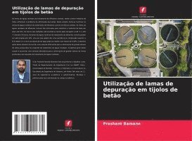 bokomslag Utilização de lamas de depuração em tijolos de betão