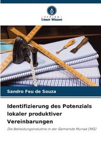 bokomslag Identifizierung des Potenzials lokaler produktiver Vereinbarungen