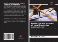 bokomslag Identifying the potential of Local Productive Arrangements