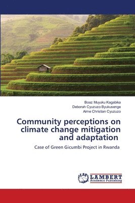 bokomslag Community perceptions on climate change mitigation and adaptation