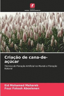 bokomslag Criao de cana-de-acar