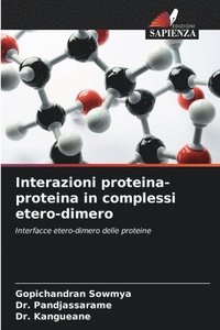 bokomslag Interazioni proteina-proteina in complessi etero-dimero