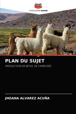 Plan Du Sujet 1