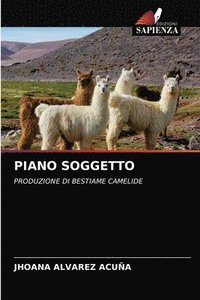 bokomslag Piano Soggetto