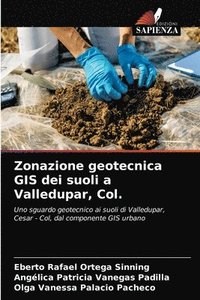 bokomslag Zonazione geotecnica GIS dei suoli a Valledupar, Col.