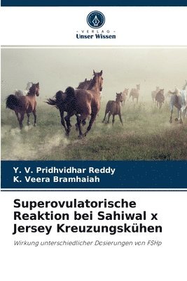 Superovulatorische Reaktion bei Sahiwal x Jersey Kreuzungskhen 1