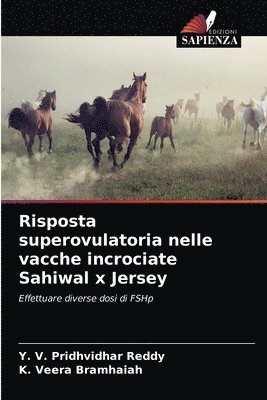 Risposta superovulatoria nelle vacche incrociate Sahiwal x Jersey 1