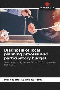 bokomslag Diagnosis of local planning process and participatory budget