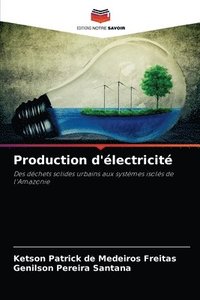 bokomslag Production d'lectricit
