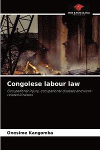 bokomslag Congolese labour law