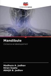 bokomslag Mandibule