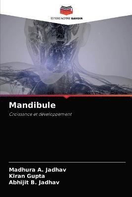 Mandibule 1