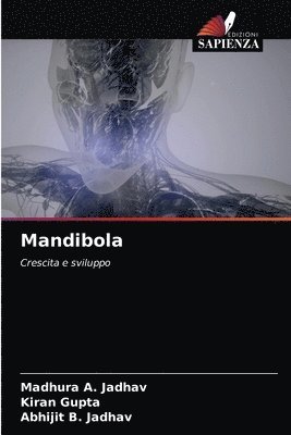 Mandibola 1