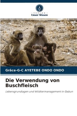 bokomslag Die Verwendung von Buschfleisch