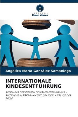 bokomslag Internationale Kindesentfhrung