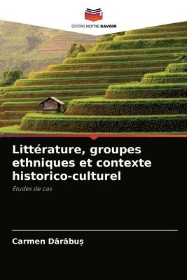 bokomslag Litterature, groupes ethniques et contexte historico-culturel