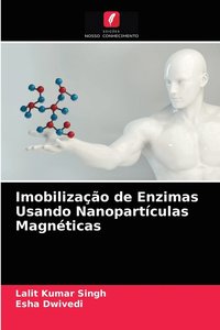 bokomslag Imobilizao de Enzimas Usando Nanopartculas Magnticas