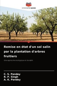 bokomslag Remise en tat d'un sol salin par la plantation d'arbres fruitiers