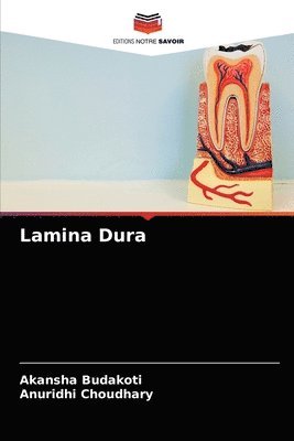 bokomslag Lamina Dura
