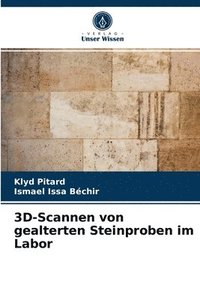 bokomslag 3D-Scannen von gealterten Steinproben im Labor