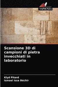 bokomslag Scansione 3D di campioni di pietra invecchiati in laboratorio