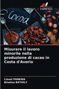 bokomslag Misurare il lavoro minorile nella produzione di cacao in Costa d'Avorio