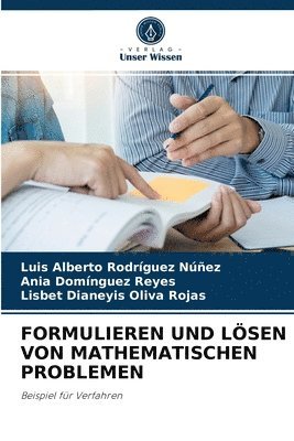 bokomslag Formulieren Und Lsen Von Mathematischen Problemen