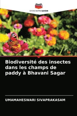 Biodiversit des insectes dans les champs de paddy  Bhavani Sagar 1