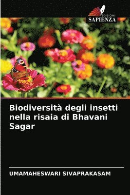 Biodiversit degli insetti nella risaia di Bhavani Sagar 1