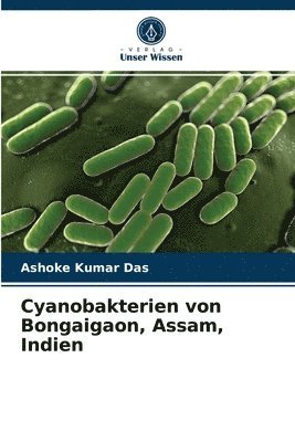 Cyanobakterien von Bongaigaon, Assam, Indien 1