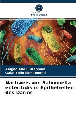Nachweis von Salmonella enteritidis in Epithelzellen des Darms 1