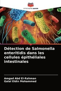 bokomslag Dtection de Salmonella enteritidis dans les cellules pithliales intestinales