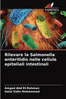 Rilevare la Salmonella enteritidis nelle cellule epiteliali intestinali 1